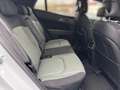 Kia Sportage 1.6 T-GDI 48V DCT7 Nightline Edition ACC FLA LM Wit - thumbnail 13