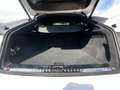 Audi Q8 50 TDI quattro S Line B&O, Pano, Matrix, view Wit - thumbnail 15