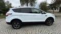 Ford Kuga Trend KLIMA TEMPOMAT SHZ AHK Weiß - thumbnail 5