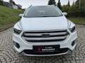 Ford Kuga Trend KLIMA TEMPOMAT SHZ AHK Blanc - thumbnail 4