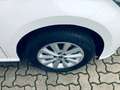 SEAT Ibiza Style 1.0TSI 7-Gang Automatik DSG Weiß - thumbnail 5