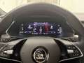 Skoda Superb 2.0 TDI SportLine 4x4 Grau - thumbnail 11