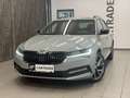 Skoda Superb 2.0 TDI SportLine 4x4 Grau - thumbnail 1