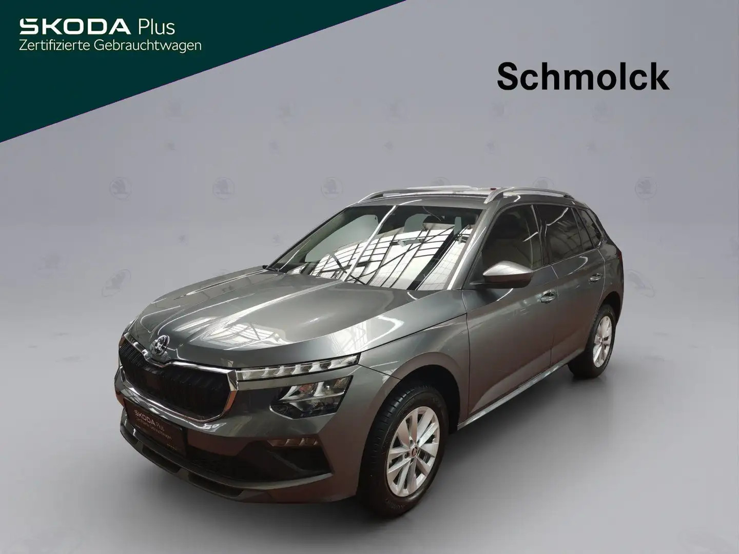 Skoda Kamiq Selection 1.0 TSI DSG ACC LED RFK DAB PDC Grau - 1