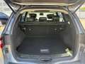 Renault Koleos 2.0 Initiale Paris 4x4/VOLL/TOP Grijs - thumbnail 12