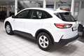 Ford Kuga 1.5D 88KW Cool & Connect Weiß - thumbnail 6