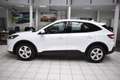 Ford Kuga 1.5D 88KW Cool & Connect Weiß - thumbnail 5