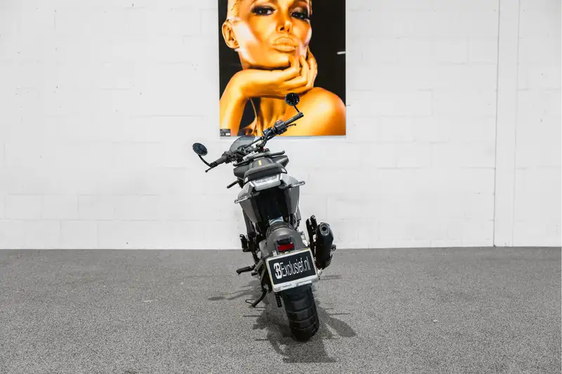 Husqvarna Svartpilen - foto 2