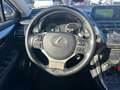 Lexus NX 300 Hybrid 4WD Business Gris - thumbnail 38