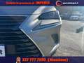 Lexus NX 300 Hybrid 4WD Business Gris - thumbnail 26
