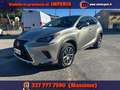 Lexus NX 300 Hybrid 4WD Business Gris - thumbnail 3