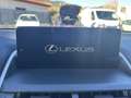 Lexus NX 300 Hybrid 4WD Business Gris - thumbnail 49