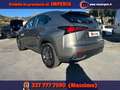 Lexus NX 300 Hybrid 4WD Business Gris - thumbnail 5
