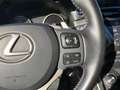 Lexus NX 300 Hybrid 4WD Business Gris - thumbnail 40