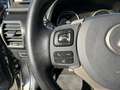 Lexus NX 300 Hybrid 4WD Business Gris - thumbnail 39