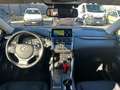 Lexus NX 300 Hybrid 4WD Business Gris - thumbnail 33