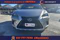Lexus NX 300 Hybrid 4WD Business Gris - thumbnail 2