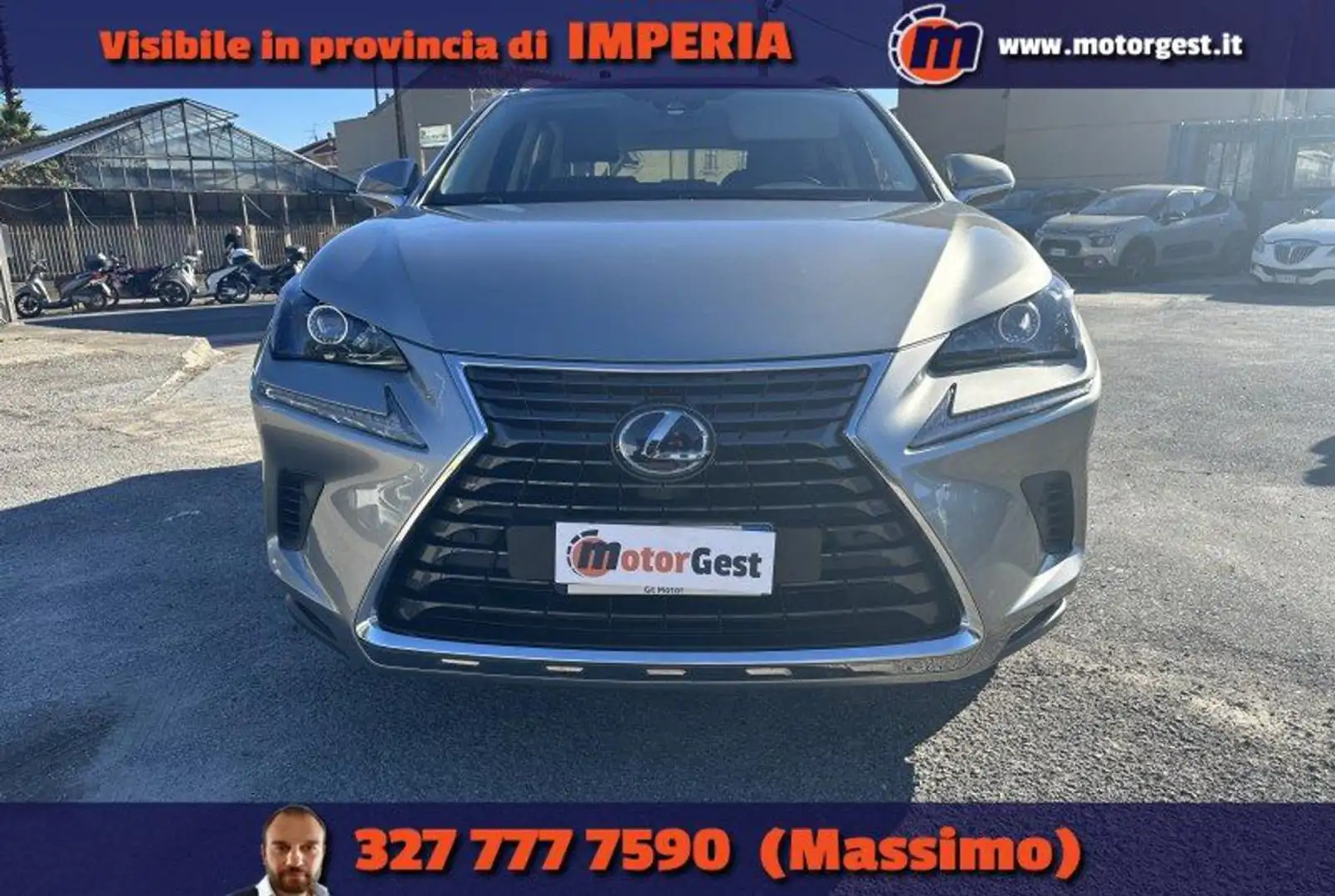 Lexus NX 300 Hybrid 4WD Business Gris - 2