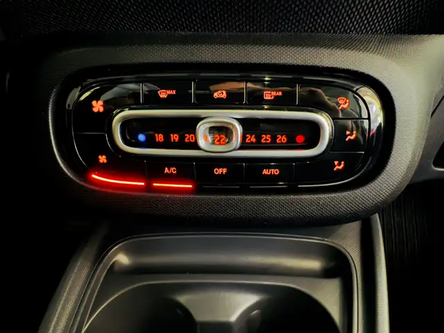 Smart Fortwo view 12