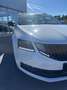 Skoda Octavia Style Navi ACC Apple CarPlay Klimatronik Weiß - thumbnail 15