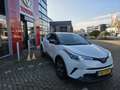 Toyota C-HR 1.8 Hybrid Bi-Tone Bianco - thumbnail 2