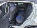 Toyota C-HR 1.8 Hybrid Bi-Tone Bianco - thumbnail 6