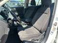 Volkswagen T-Cross 1.0 TSI DSG IQ-Drive Ganzj.Reifen Kamera Blanc - thumbnail 7