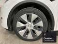 Tesla Model Y Rear-Wheel Drive Blanc - thumbnail 19