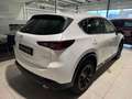 Mazda CX-5 2.0i e-SKYACTIV-G MHE 2WD Homura Weiß - thumbnail 7