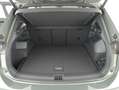 Volkswagen Tiguan R-Line TDI 4MOTION DSG Grün - thumbnail 15