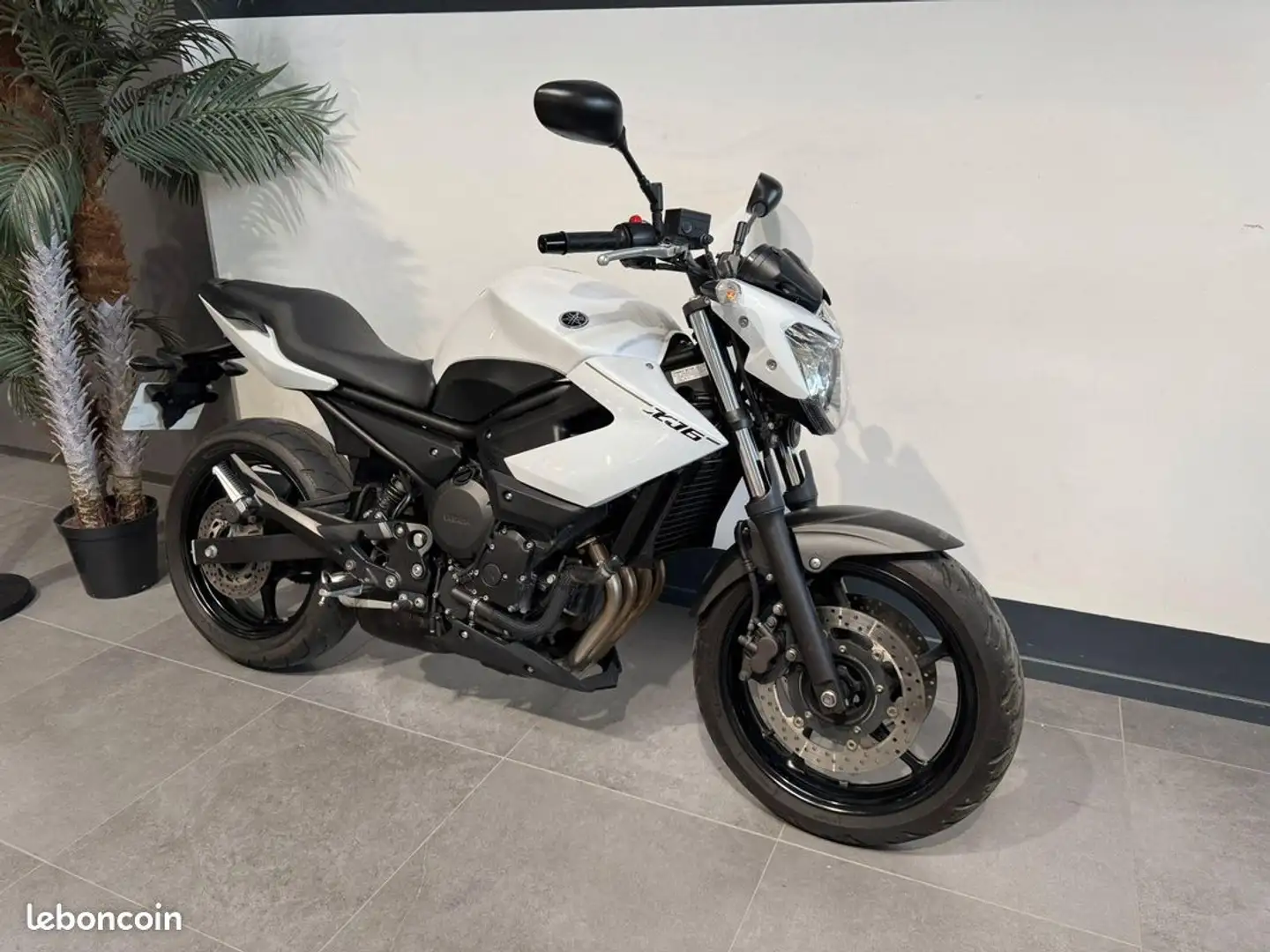 Yamaha XJ 6 Blanc - 2