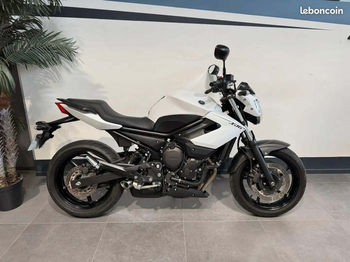Yamaha XJ 6 Blanc - 1