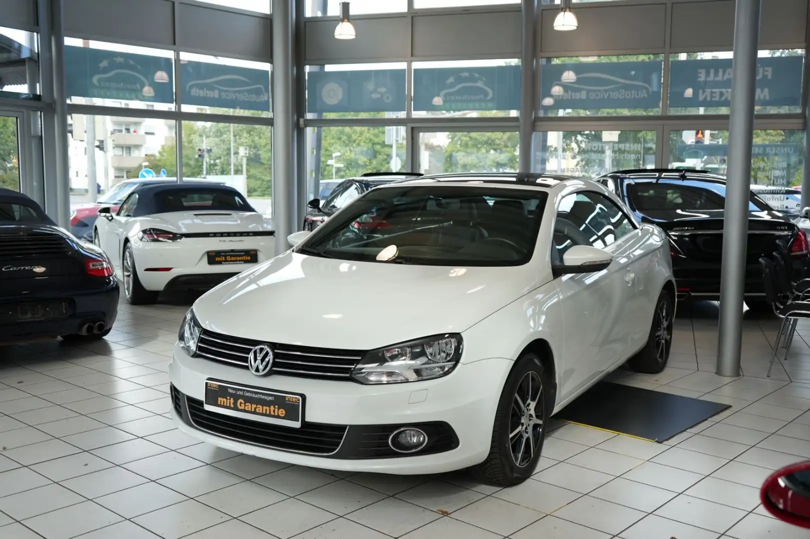 Volkswagen Eos Basis BMT *Navi *Kamera Weiß - 2