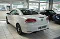 Volkswagen Eos Basis BMT *Navi *Kamera Weiß - thumbnail 6