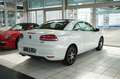 Volkswagen Eos Basis BMT *Navi *Kamera Weiß - thumbnail 5