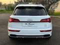 Audi Q5 Q5 40 2.0 tdi S-Line quattro 190cv s-tronic Blanc - thumbnail 5
