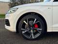Audi Q5 Q5 40 2.0 tdi S-Line quattro 190cv s-tronic Blanc - thumbnail 7