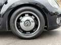 Volkswagen Beetle Cabriolet 50´s Design Navi Leder LED PDC Noir - thumbnail 7