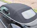Volkswagen Beetle Cabriolet 50´s Design Navi Leder LED PDC Noir - thumbnail 6