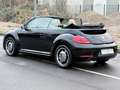 Volkswagen Beetle Cabriolet 50´s Design Navi Leder LED PDC Noir - thumbnail 2