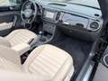 Volkswagen Beetle Cabriolet 50´s Design Navi Leder LED PDC Noir - thumbnail 22