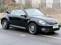 Volkswagen Beetle Cabriolet 50´s Design Navi Leder LED PDC Noir - thumbnail 3
