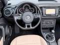 Volkswagen Beetle Cabriolet 50´s Design Navi Leder LED PDC Noir - thumbnail 14