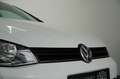 Volkswagen Golf 7 Rabbit 1.2 TSI Standheizung Anhängerkupplung Weiß - thumbnail 6