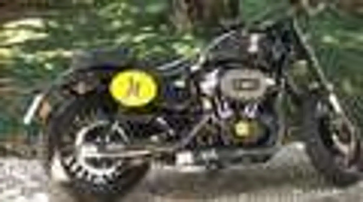 Harley-Davidson Sportster 1200 Negro - 1