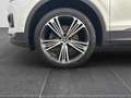 SEAT Tarraco 2.0 TSI Xcellence 4Drive OPF AHK Panorama Blanc - thumbnail 23
