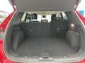 Ford Kuga Titanium X Navi Kamera Leder LED PDC Sitzhei Rot - thumbnail 21