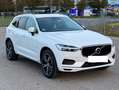 Volvo XC60 XC60 D4 Momentum Weiß - thumbnail 6