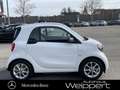smart forTwo fortwo electric drive NAVI PANO 22 kW BOARDLADER Weiß - thumbnail 12