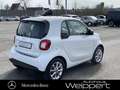 smart forTwo fortwo electric drive NAVI PANO 22 kW BOARDLADER Weiß - thumbnail 10